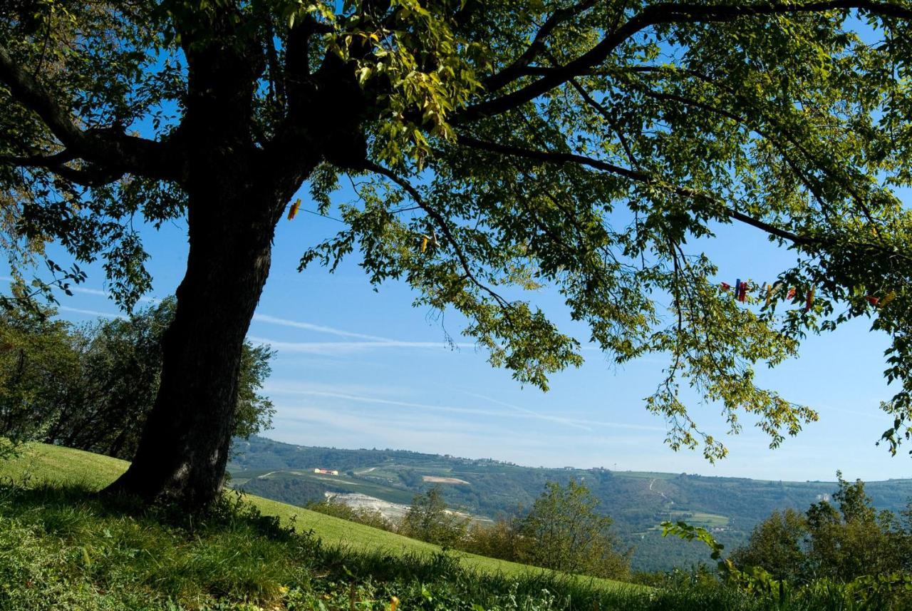 Tenuta Delo Relais Verona Kültér fotó